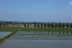 越後平野