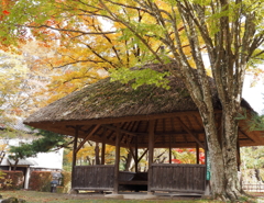 懐古園・１