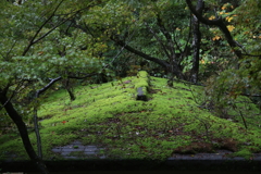 弥彦公園・１