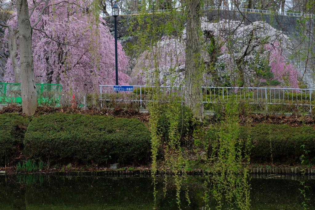 盛岡城跡公園・２