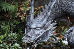ドラゴン