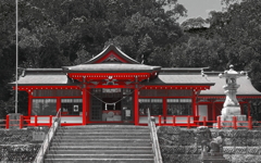 蒲生八幡神社（Ｂ）