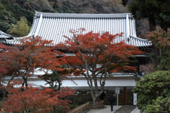 円覚寺・１