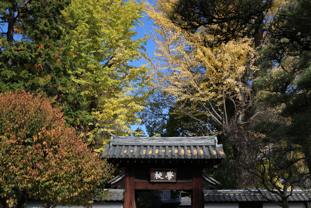 足利学校・１