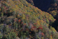秋の山