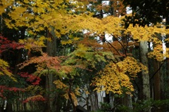 新発田市清水園ー７