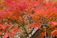 古峯神社・３