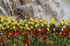みちのく杜の湖畔公園・３