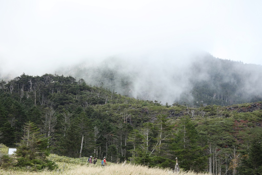 北八ヶ岳・３