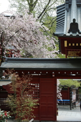 秩父神社・４