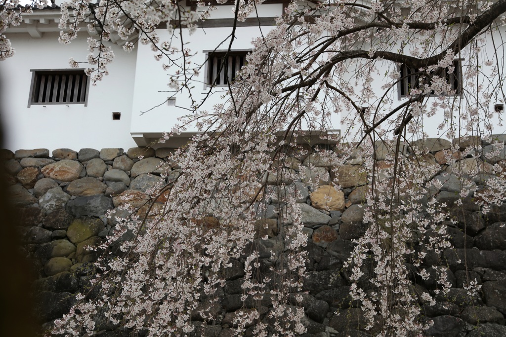 白石城・１