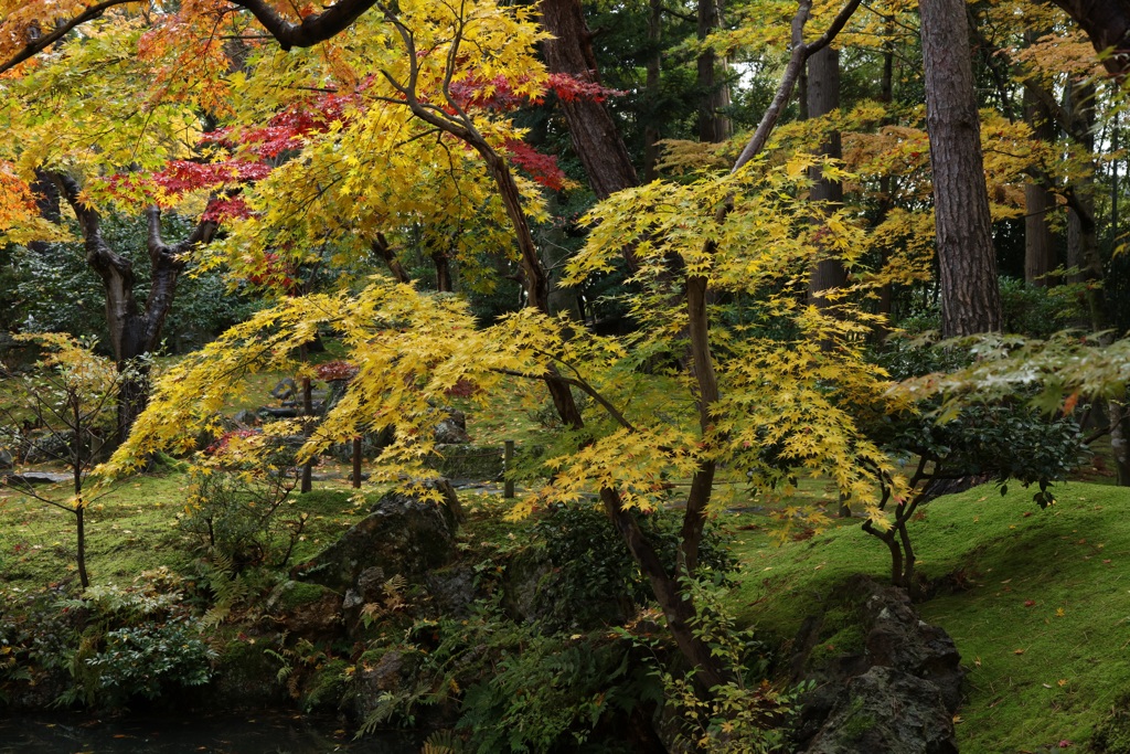 新発田市清水園ー６
