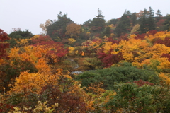 須川高原小雨・１