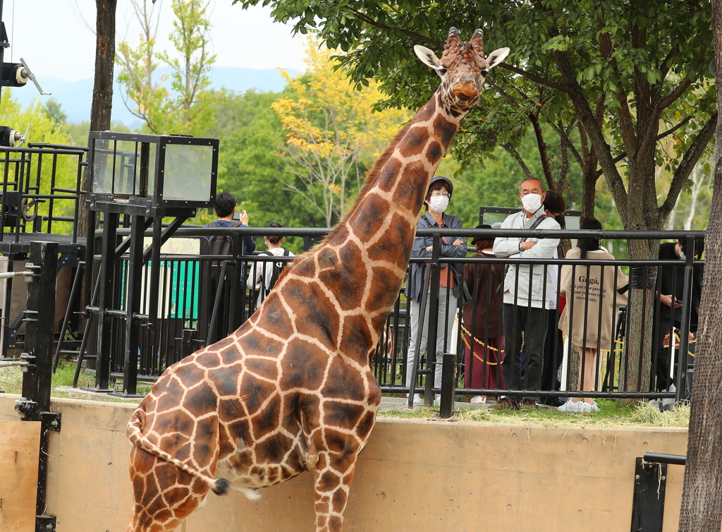 旭山動物園・５