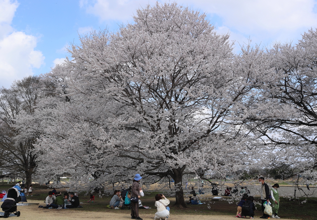 天平の丘公園・２