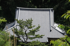 横浜三渓園ー６