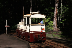 赤沢森林鉄道・２