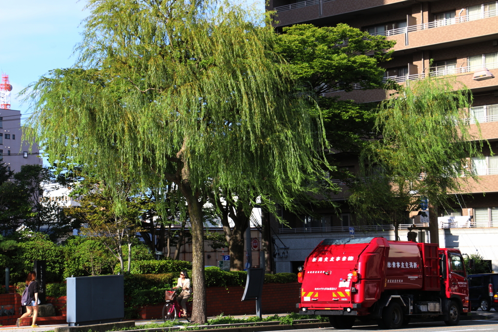 新潟市萬代橋周辺ー３
