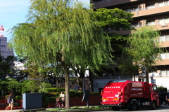 新潟市萬代橋周辺ー３