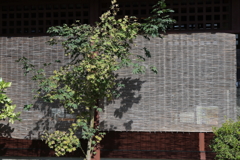 日除け