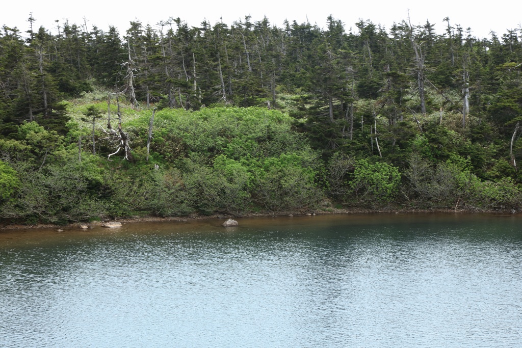 八幡平（４）