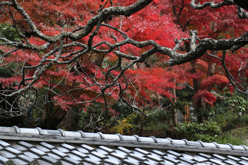 円覚寺・３