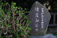 行ってきました