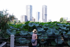 不忍池・１