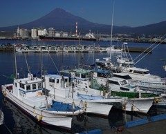 田子の浦港・２