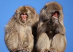 上野動物園・１