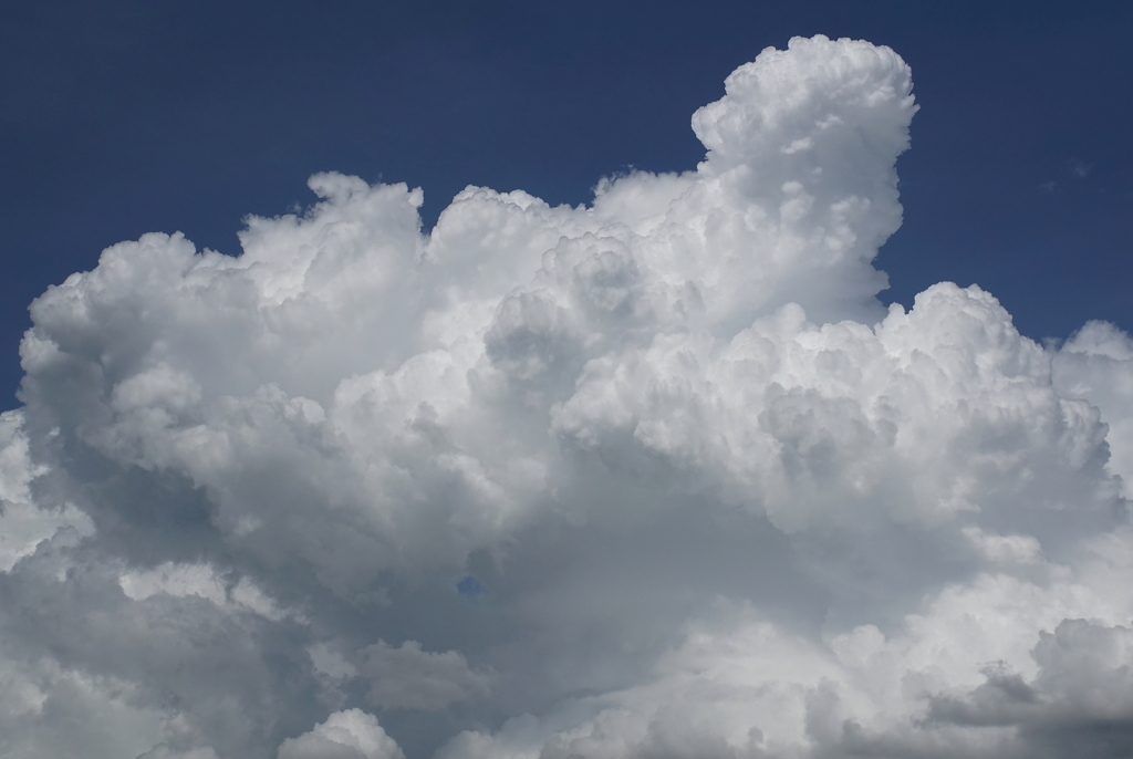 今見たばかりの雲