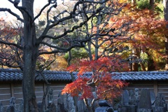 円覚寺