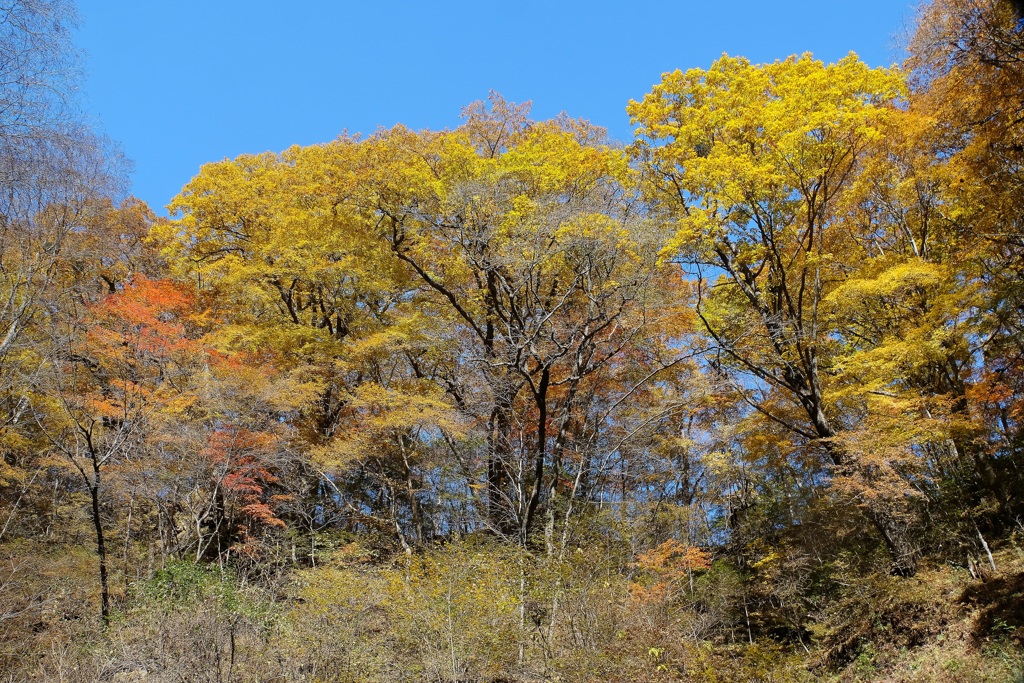 白糸の滝・２