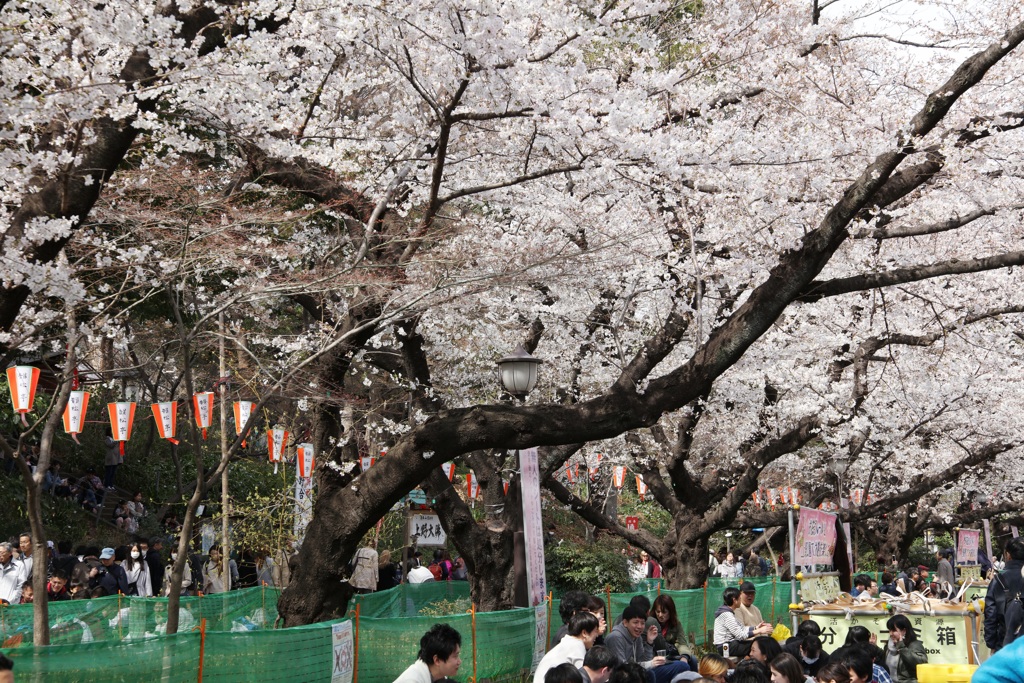 上野公園
