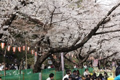 上野公園