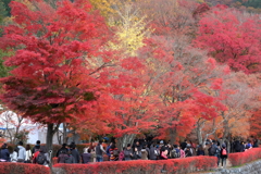 河口湖畔もみじ回廊