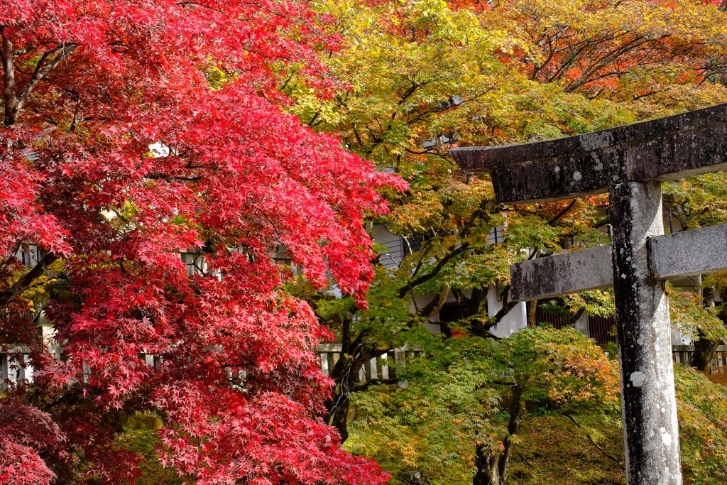 古峯神社・１