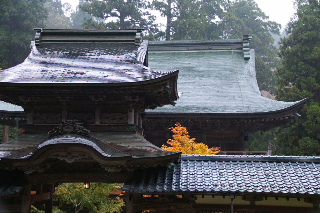 雨の永平寺・４