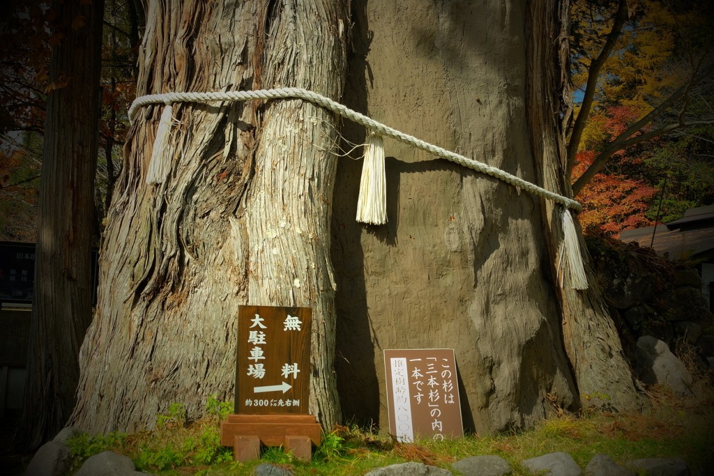 戸隠・４