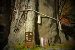 戸隠・４