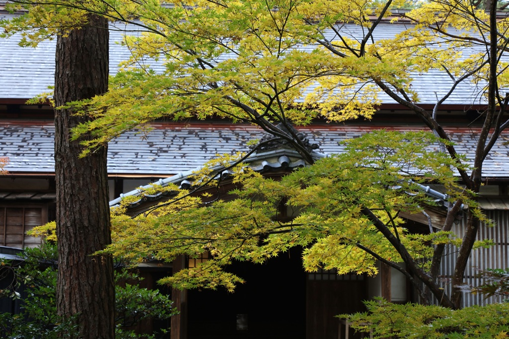 新発田市清水園ー３