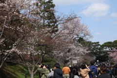 皇居乾通り