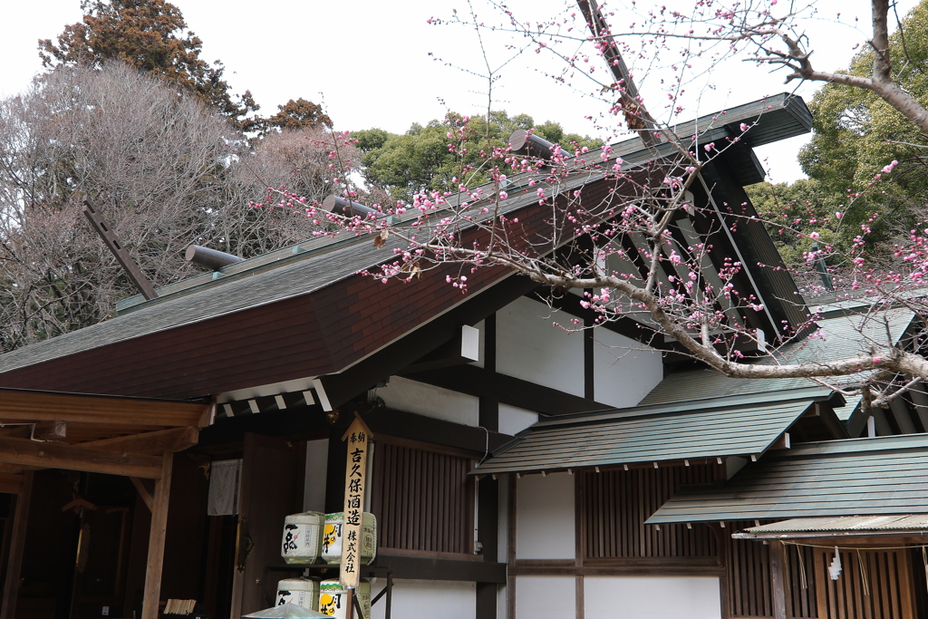 水戸常盤神社