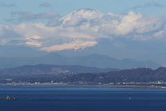 江ノ島シーキャンドルから