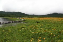 雄国沼・１