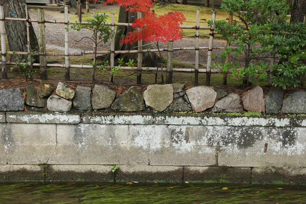 新発田市清水園ー１６