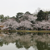 大宮公園・３