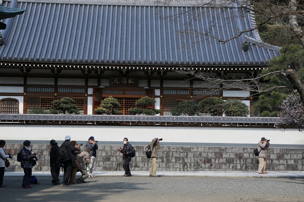 円覚寺松嶺院ー２