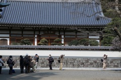 円覚寺松嶺院ー２
