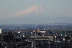 富士山